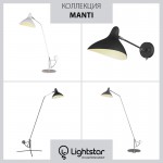 Настольная лампа Lightstar 764906 Manti