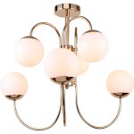 Люстра потолочная Stilfort 2015/03/06C Miracle