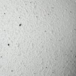 Светильник подвесной Stilfort 2048/96/01P Moon