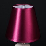 Светильник настольный "Сад камней"фиолетово-белый 220V/E14 26х15х15 см