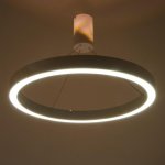 Люстра с ПДУ "Бергамо" 65вт 3000-6000К LED  белый d.60см