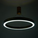 Люстра с ПДУ "Бергамо" 65вт 3000-6000К LED  золото d.60см