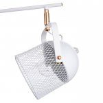 Люстра "Бирасо" 3x60Вт E27 белый-золото 58х58х40 см.