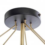 Люстра "Адонис" 5х40Вт Е14 черный-латунь 64х64х26 см