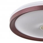 Светильник с ПДУ 670521N LED 72Вт 3 режима 3000-6000К диммер кофе 49х49х8 см