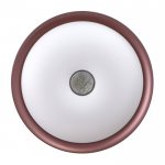 Светильник с ПДУ 670521N LED 72Вт 3 режима 3000-6000К диммер кофе 49х49х8 см