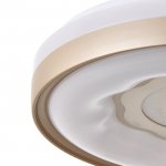 Светильник с ПДУ 670524N LED 80Вт 3 режима 3000-6000К диммер золото 49х49х9,5 см