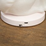 Ночник c USB "Лиса" LED RGB батарейки 3AAA белый 12,5x11xx19,5 см