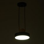 Светильник 35424/1 LED 24Вт 3000-6000К черный 18х18х20 см