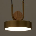 Светильник 35425/1 LED 24Вт 3000-6000К золотой 18х18х20 см