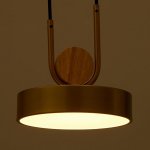 Светильник 35425/1 LED 24Вт 3000-6000К золотой 18х18х20 см