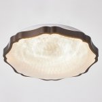 Светильник с ПДУ 74628/1 LED 54Вт 3000-6000К черный 40х40х4,5 см