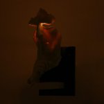 Бра 85201/1 E27 40Вт белый-черный 16х16х32 см