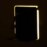 Бра 86104/2 LED 7+1Вт черный 15x20x15 см