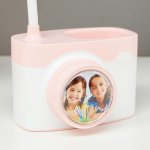 Лампа настольная 1673/1 LED 2Вт 2 режима 3000-6000К USB АКБ МИКС 11,5х9х42 см