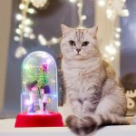 Ночник "Первая любовь" LED от батареек 3ААА МИКС 8х8х13 см