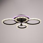 Люстра с ПДУ 10020/4BK LED 81Вт 3000-6000К диммер черный 62х49х10 см