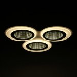 Люстра с ПДУ 10035/3 LED 70Вт 3000-6000К диммер 3D подсветка белый 52х52 см