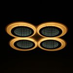 Люстра с ПДУ 10035/5 LED 95Вт 3000-6000К диммер 3D подсветка белый 49х49 см