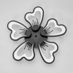 Люстра с ПДУ 10031/5BK LED 120Вт 3000-6000К диммер черный 62х62 см