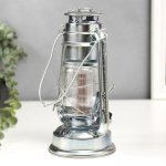 Ночник "Летучая мышь" 12LED 2хR20 серебристый 12х15,5х24см