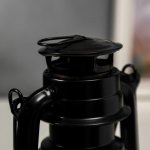 Ночник "Летучая мышь" 12LED 2хR20 черный 12х15,5х24см