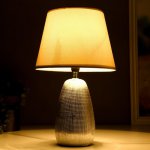 Лампа настольная 16418/1SL E14 40Вт серебро 22х22х36,5 см