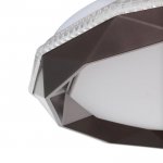 Светильник с ПДУ 1560/1CF LED 96Вт 2700-6000К кофе d.50 см