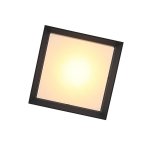 Светильник уличный потолочный St luce SL077.402.01 CUBISTA
