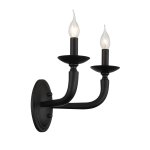 Светильник настенный бра St luce SL1114.401.02 FORTEZA