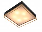 Светильник потолочный St luce SL1127.422.05 CHODO