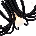 Люстра потолочная St luce SL1173.402.13 PAFE