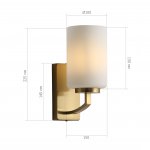 SL1403.301.01 Светильник настенный ST-Luce Латунь/Прозрачный E27*1 40W OPALUS