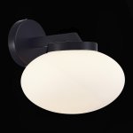 Светильник настенный бра St luce SL1503.401.01 Modica