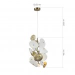 Светильник  с лампой St luce SL1518.303.05 DAHLIA
