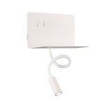 Светильник настенный St luce SL1576.501.02 PINAGGIO