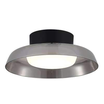 SL6019.412.01 Светильник потолочный ST-Luce Черный/Дымчатый, Белый LED 1*36W 3000K FORAY SL6019.412.01 Светильник потолочный ST-Luce Черный/Дымчатый, Белый LED 1*36W 3000K FORAY