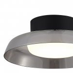 SL6019.412.01 Светильник потолочный ST-Luce Черный/Дымчатый, Белый LED 1*36W 3000K FORAY