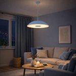 Светильник  светодиодный St luce SL6128.703.01 LID