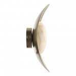 Светильник  светодиодный St luce SL6229.201.01 PEARL
