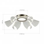 Светильник  светодиодный St luce SL6235.102.20 FAIRY
