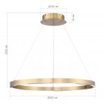 Светильник  светодиодный St luce SL6238.333.01 PARILLA