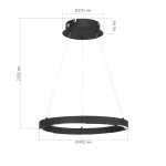Светильник  светодиодный St luce SL6238.423.01 PARILLA