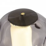 SL6520.404.01 Прикроватная лампа ST-Luce черный жемчуг/прозрачно-дымчатый LED 1*5W 4000K HELMI