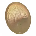 Светильник  светодиодный St luce SL6900.501.16 FOSSIL