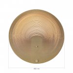Светильник  светодиодный St luce SL6900.501.16 FOSSIL