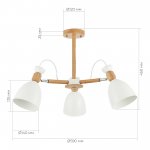 Люстра потолочная St luce SLE103802-03 BALCAMO