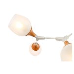Люстра потолочная St luce SLE113502-05 CIOTOLLA