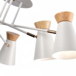 Люстра потолочная St luce SLE1252-502-06 ALFEO