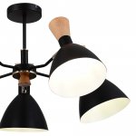 Светильник  с лампой накаливания St luce SLE1256-402-05 VISTA